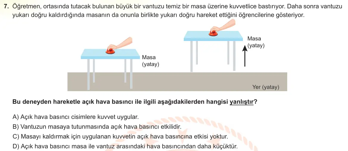 LGS Örnek Soruları Nisan 2023 Sayısal Fen Bilimleri 7. Soru görseli