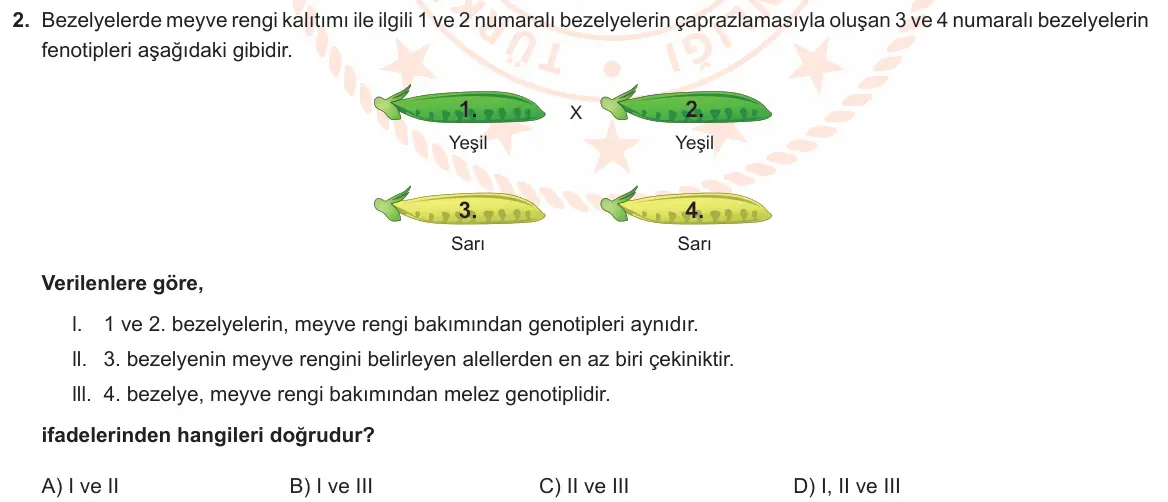 LGS Örnek Soruları Ocak 2023 Sayısal Fen Bilimleri 2. Soru görseli