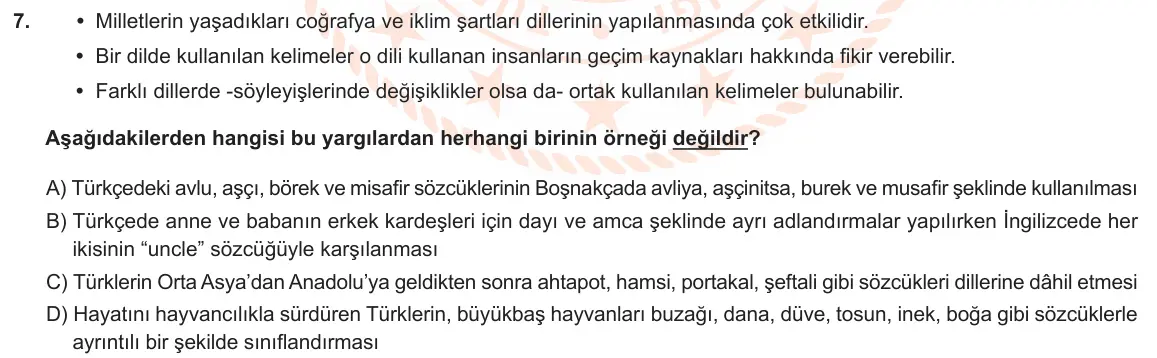 LGS Örnek Soruları Ocak 2023 Sözel Türkçe 7. Soru görseli