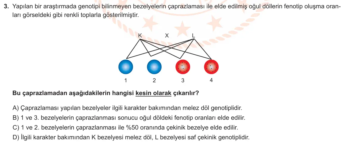LGS Örnek Soruları Şubat 2023 Sayısal Fen Bilimleri 3. Soru görseli