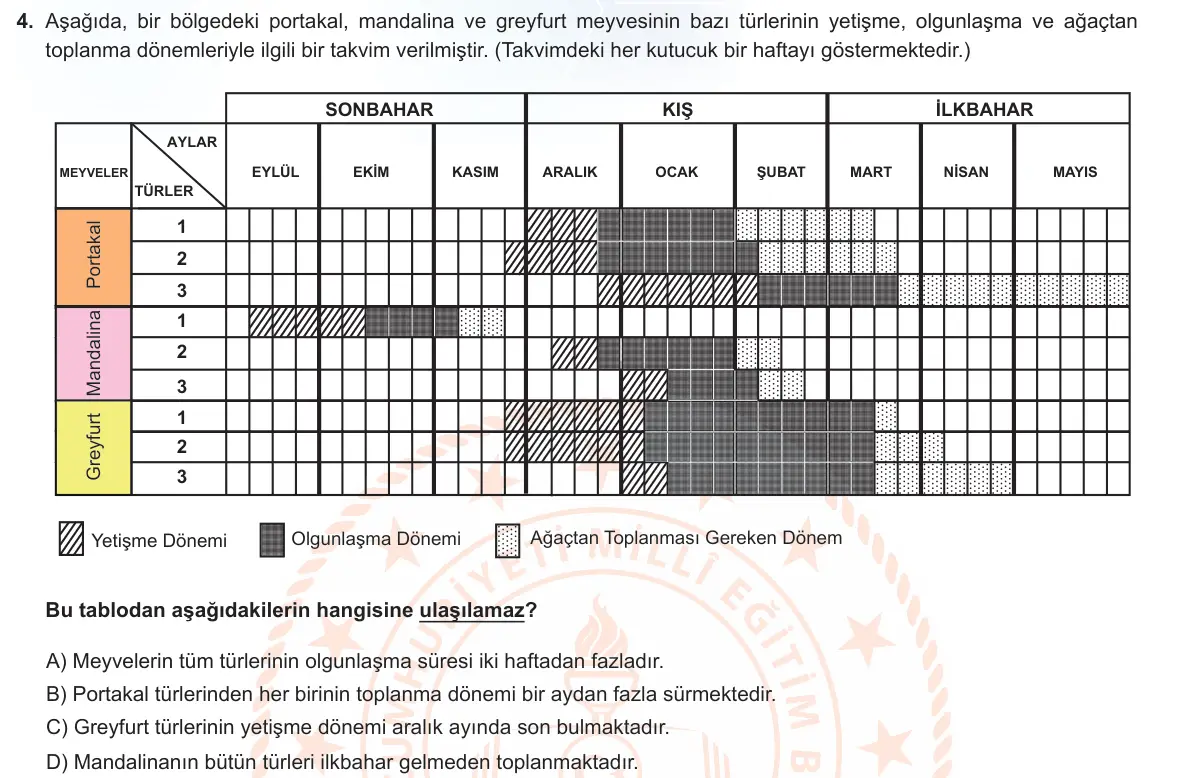 LGS Örnek Soruları Şubat 2023 Sözel Türkçe 4. Soru görseli