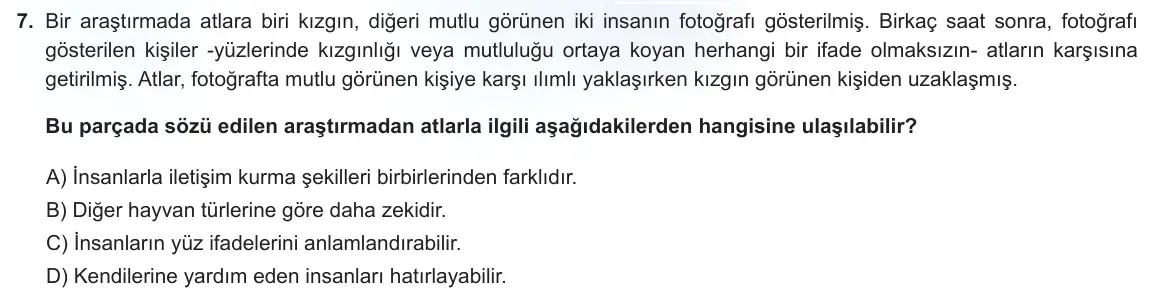 LGS Örnek Soruları Şubat 2023 Sözel Türkçe 7. Soru görseli
