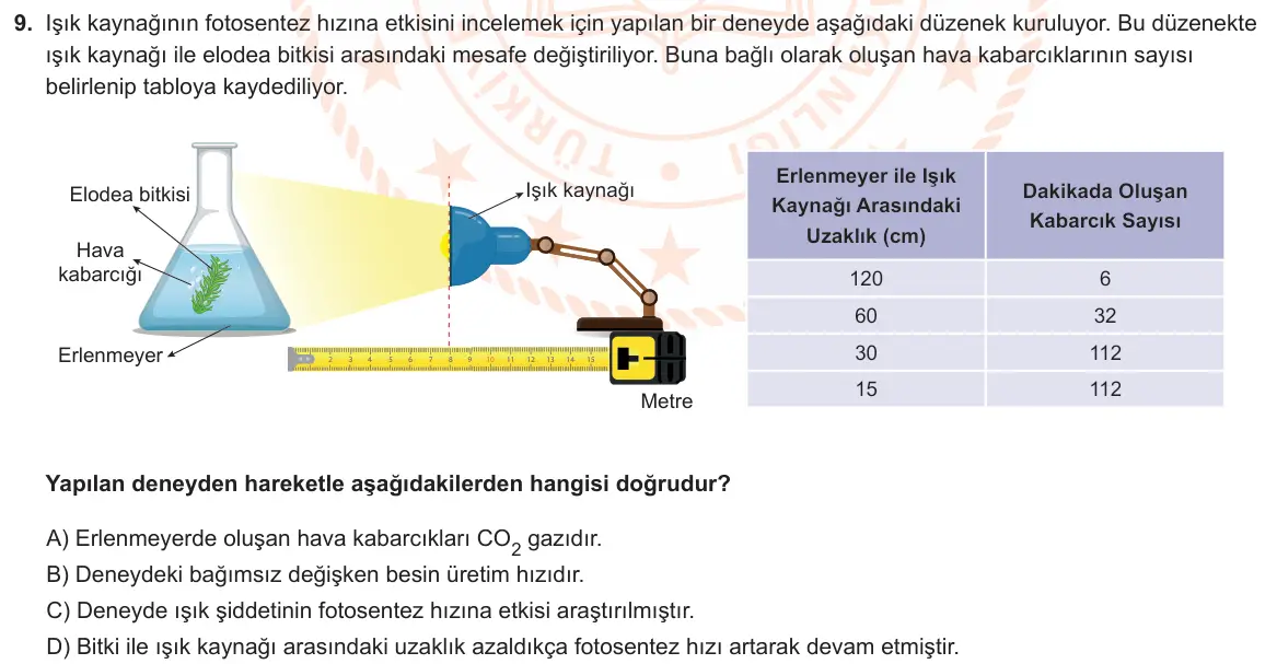 LGS Örnek Soruları Nisan 2024 Sayısal Fen Bilimleri 9. Soru görseli
