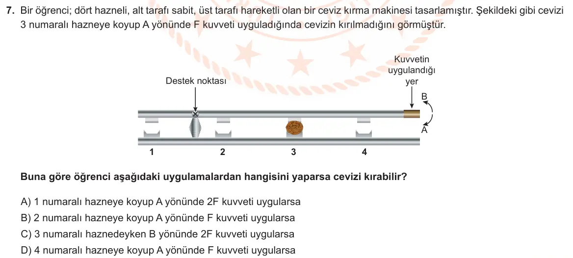 LGS Örnek Soruları Şubat 2024 Sayısal Fen Bilimleri 7. Soru görseli