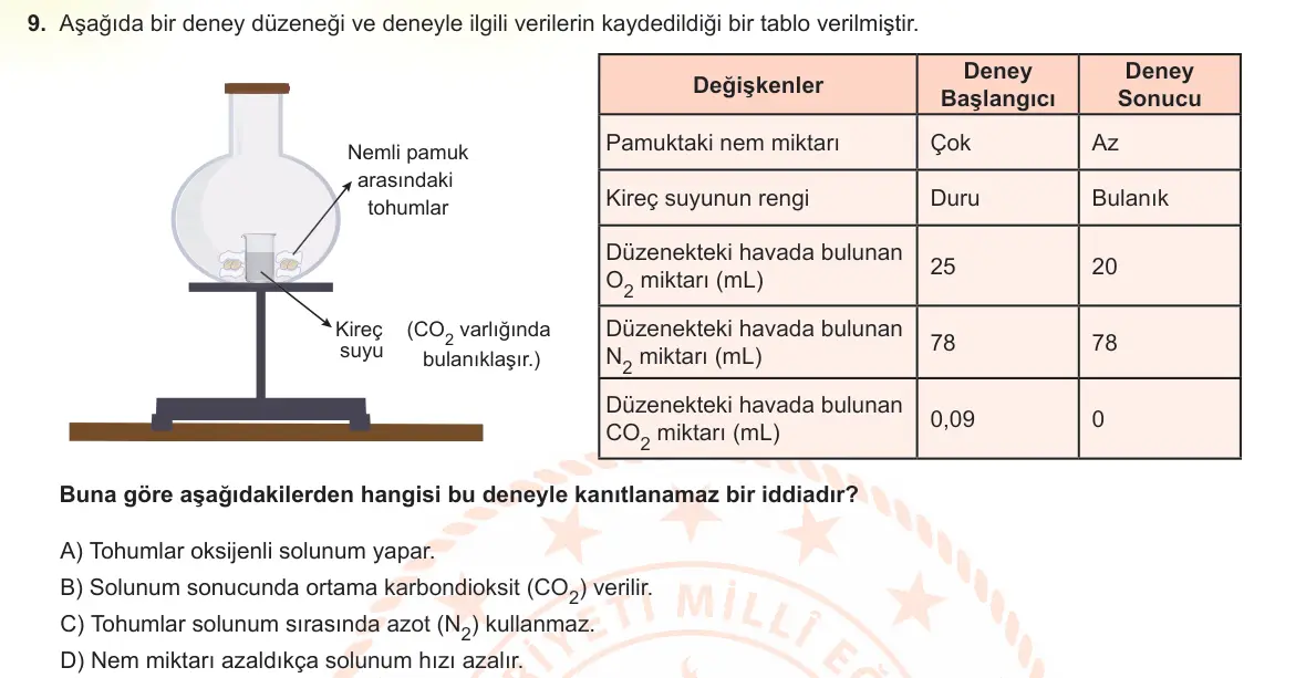 LGS Örnek Soruları Şubat 2024 Sayısal Fen Bilimleri 9. Soru görseli