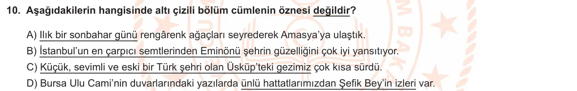 LGS Örnek Soruları Şubat 2024 Sözel Türkçe 10. Soru görseli