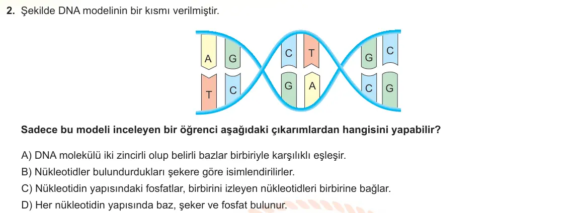 LGS Örnek Soruları Kasım 2024 Sayısal Fen Bilimleri 2. Soru görseli