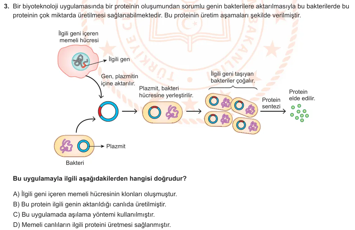 LGS Örnek Soruları Kasım 2024 Sayısal Fen Bilimleri 3. Soru görseli