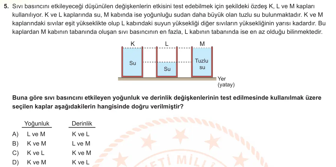 LGS Örnek Soruları Kasım 2024 Sayısal Fen Bilimleri 5. Soru görseli