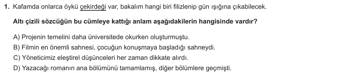 LGS Örnek Soruları Kasım 2024 Sözel Türkçe 1. Soru görseli