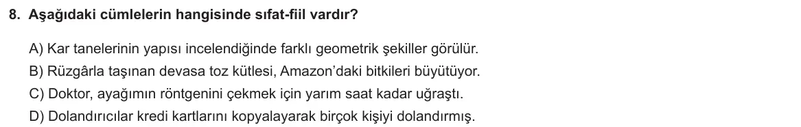 LGS Örnek Soruları Kasım 2024 Sözel Türkçe 8. Soru görseli