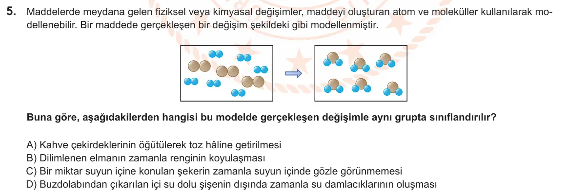 LGS Örnek Soruları Nisan 2025 Sayısal Fen Bilimleri 5. Soru görseli