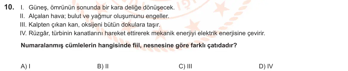 LGS Örnek Soruları Nisan 2025 Sözel Türkçe 10. Soru görseli