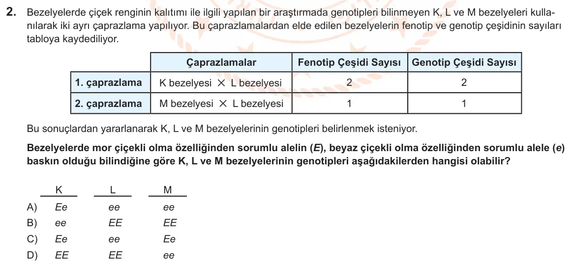 LGS Örnek Soruları Şubat 2025 Sayısal Fen Bilimleri 2. Soru görseli