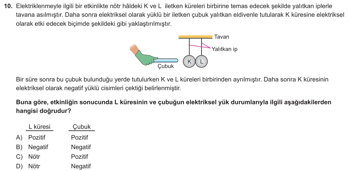 LGS Örnek Soruları Kasım 2025 Sayısal Fen Bilimleri 10. Soru görseli