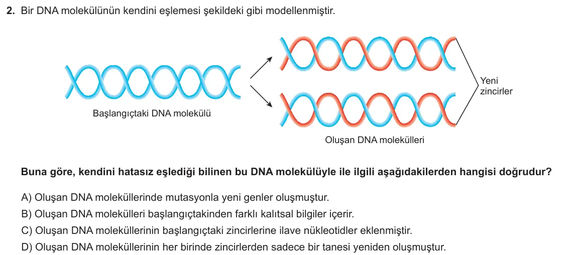 LGS Örnek Soruları Kasım 2025 Sayısal Fen Bilimleri 2. Soru görseli