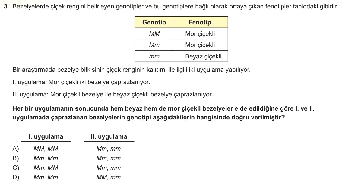 LGS Örnek Soruları Kasım 2025 Sayısal Fen Bilimleri 3. Soru görseli