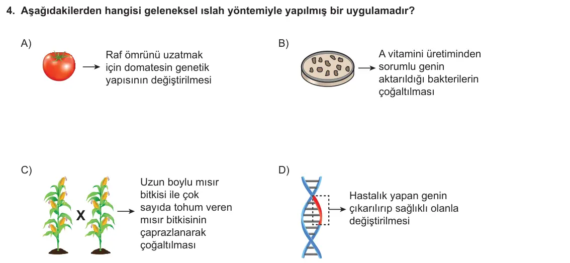 LGS Örnek Soruları Kasım 2025 Sayısal Fen Bilimleri 4. Soru görseli