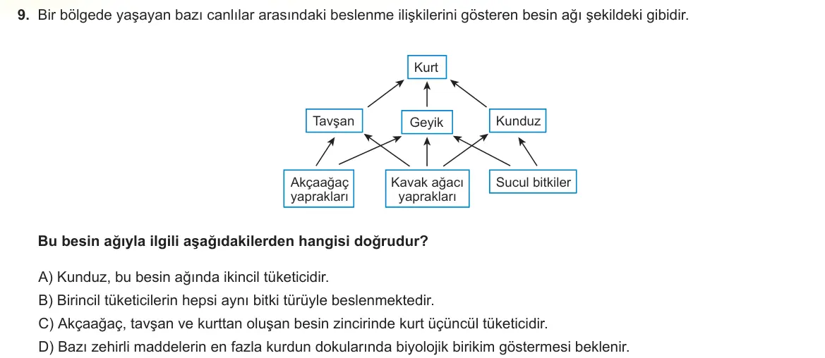 LGS Örnek Soruları Kasım 2025 Sayısal Fen Bilimleri 9. Soru görseli