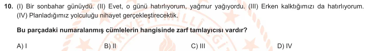 LGS Örnek Soruları Kasım 2025 Sözel Türkçe 10. Soru görseli