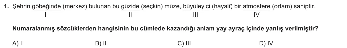 LGS Örnek Soruları Kasım 2025 Sözel Türkçe 1. Soru görseli