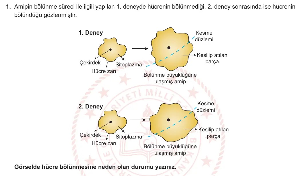 10. Sınıf Biyoloji 2023-2024 1. Dönem 1. Yazılı 1. Bölüm 1. Soru görseli