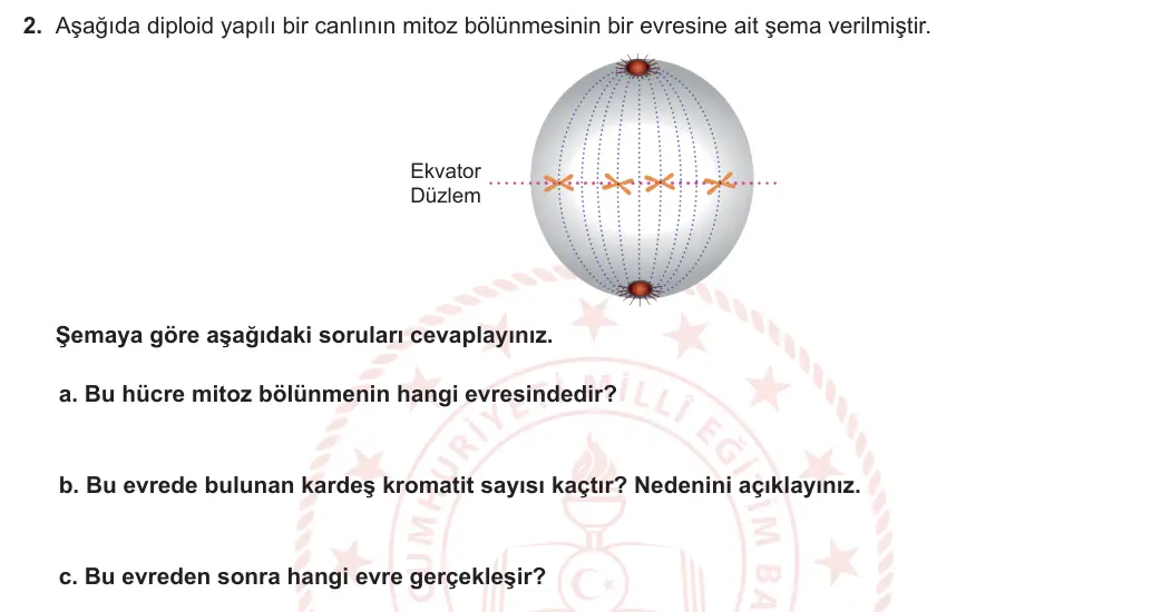 10. Sınıf Biyoloji 2023-2024 1. Dönem 1. Yazılı 1. Bölüm 2. Soru görseli