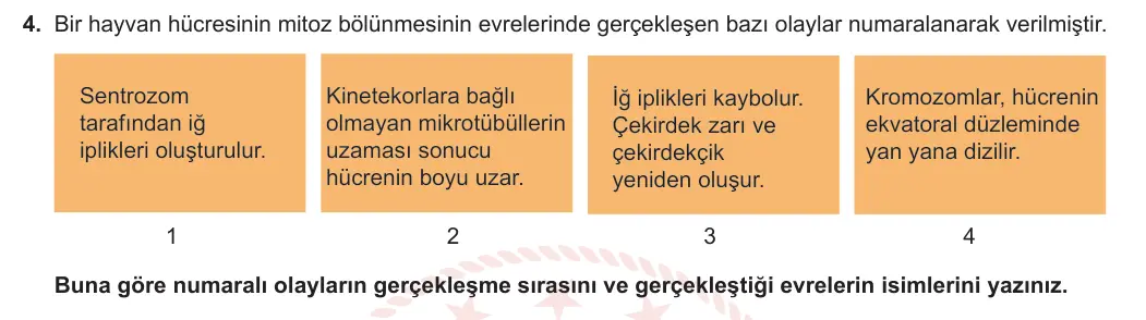 10. Sınıf Biyoloji 2023-2024 1. Dönem 1. Yazılı 1. Bölüm 4. Soru görseli