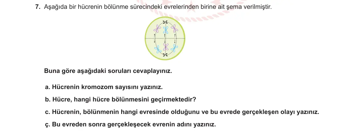 10. Sınıf Biyoloji 2023-2024 1. Dönem 1. Yazılı 1. Bölüm 7. Soru görseli