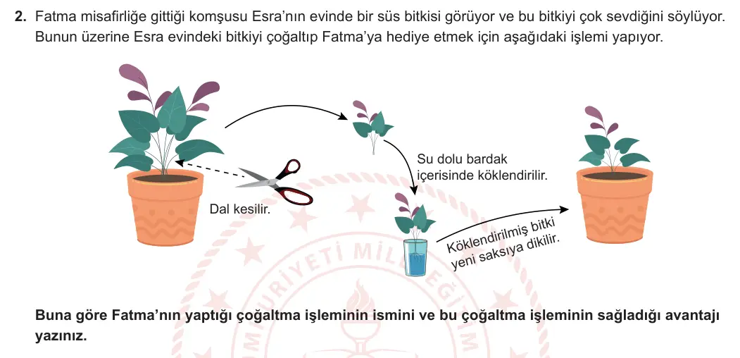 10. Sınıf Biyoloji 2023-2024 1. Dönem 1. Yazılı 2. Bölüm 2. Soru görseli
