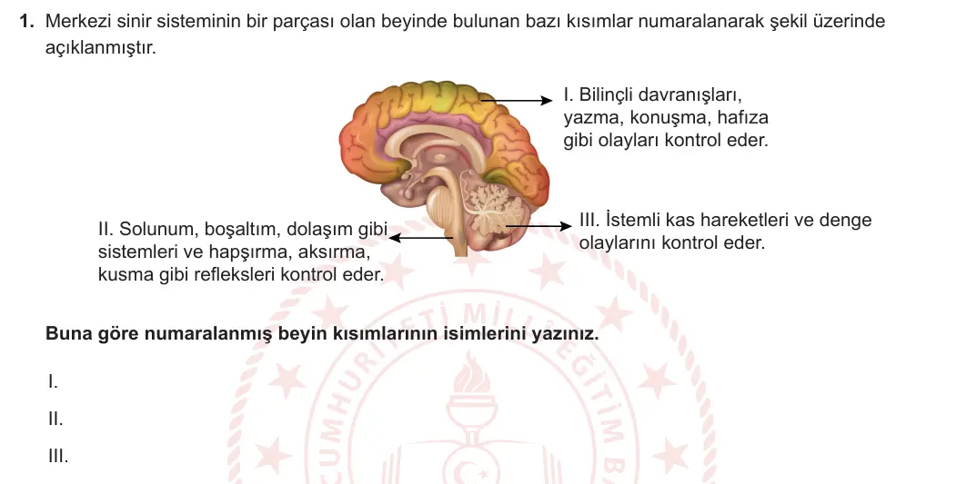11. Sınıf Biyoloji 2023-2024 1. Dönem 1. Yazılı 1. Bölüm 1. Soru görseli