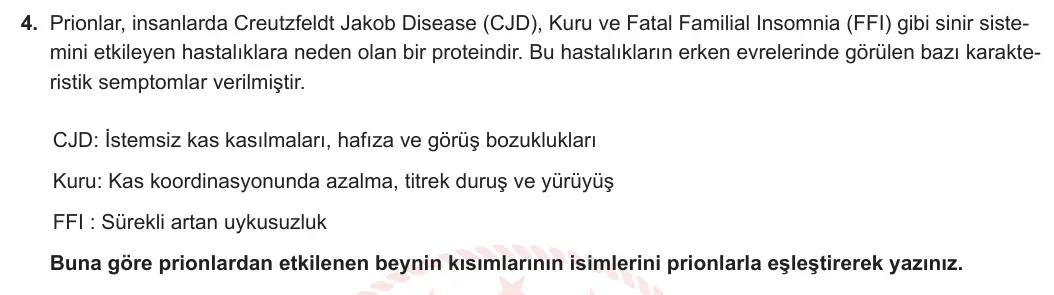 11. Sınıf Biyoloji 2023-2024 1. Dönem 1. Yazılı 1. Bölüm 4. Soru görseli