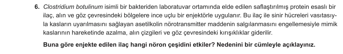 11. Sınıf Biyoloji 2023-2024 1. Dönem 1. Yazılı 1. Bölüm 6. Soru görseli