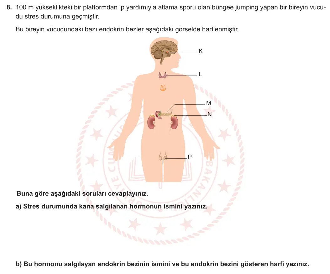 11. Sınıf Biyoloji 2023-2024 1. Dönem 1. Yazılı 1. Bölüm 8. Soru görseli