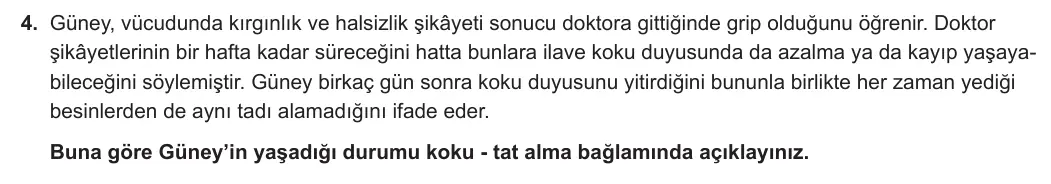 11. Sınıf Biyoloji 2023-2024 1. Dönem 1. Yazılı 2. Bölüm 4. Soru görseli