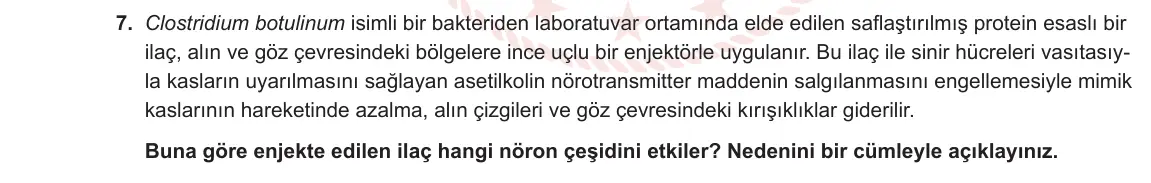 11. Sınıf Biyoloji 2023-2024 1. Dönem 1. Yazılı 2. Bölüm 7. Soru görseli