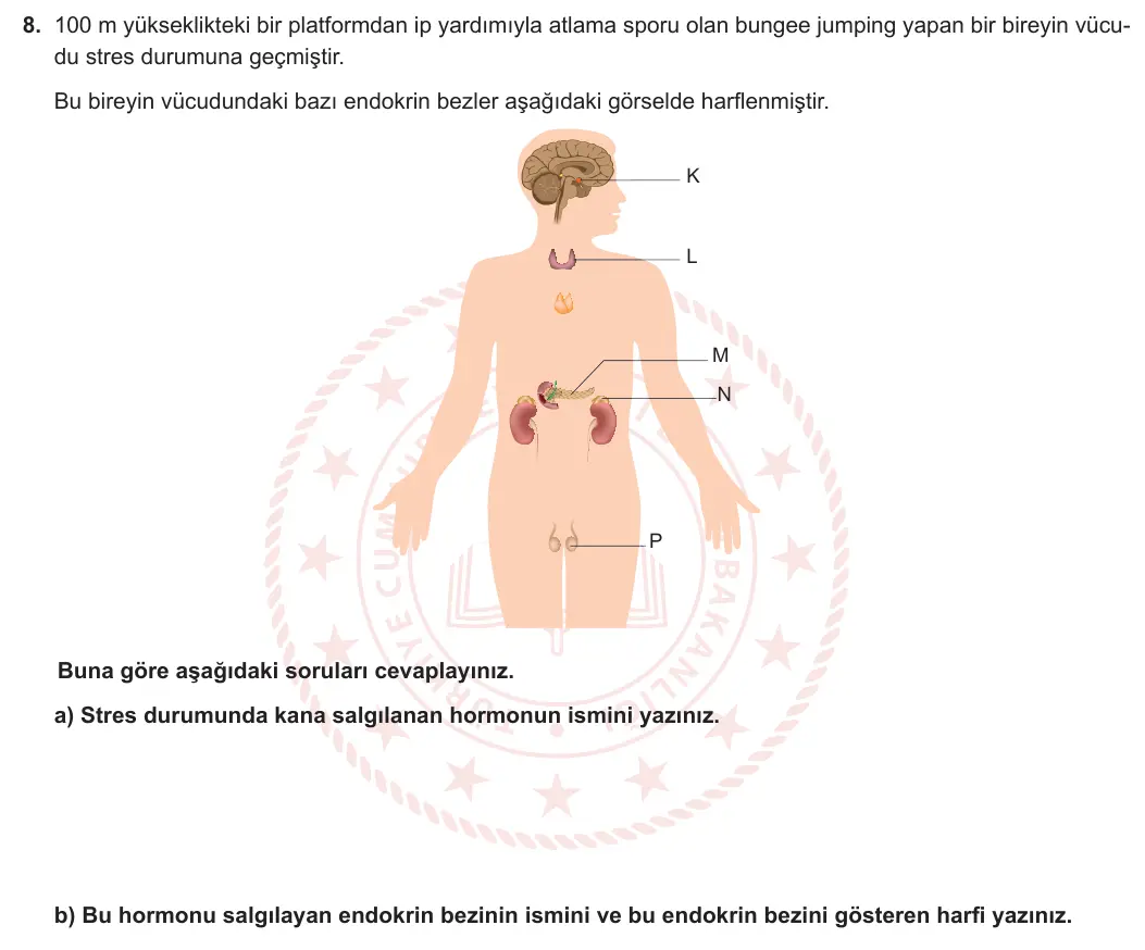 11. Sınıf Biyoloji 2023-2024 1. Dönem 1. Yazılı 2. Bölüm 8. Soru görseli