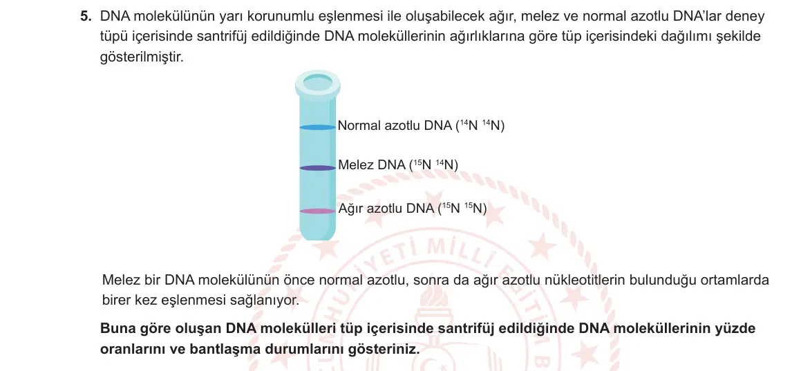 12. Sınıf Biyoloji 2023-2024 1. Dönem 1. Yazılı 1. Bölüm 5. Soru görseli