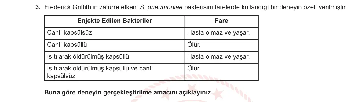 12. Sınıf Biyoloji 2023-2024 1. Dönem 1. Yazılı 2. Bölüm 3. Soru görseli