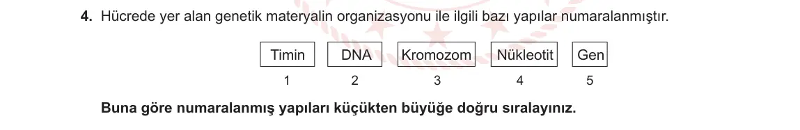12. Sınıf Biyoloji 2023-2024 1. Dönem 1. Yazılı 2. Bölüm 4. Soru görseli