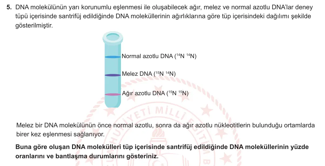 12. Sınıf Biyoloji 2023-2024 1. Dönem 1. Yazılı 2. Bölüm 5. Soru görseli