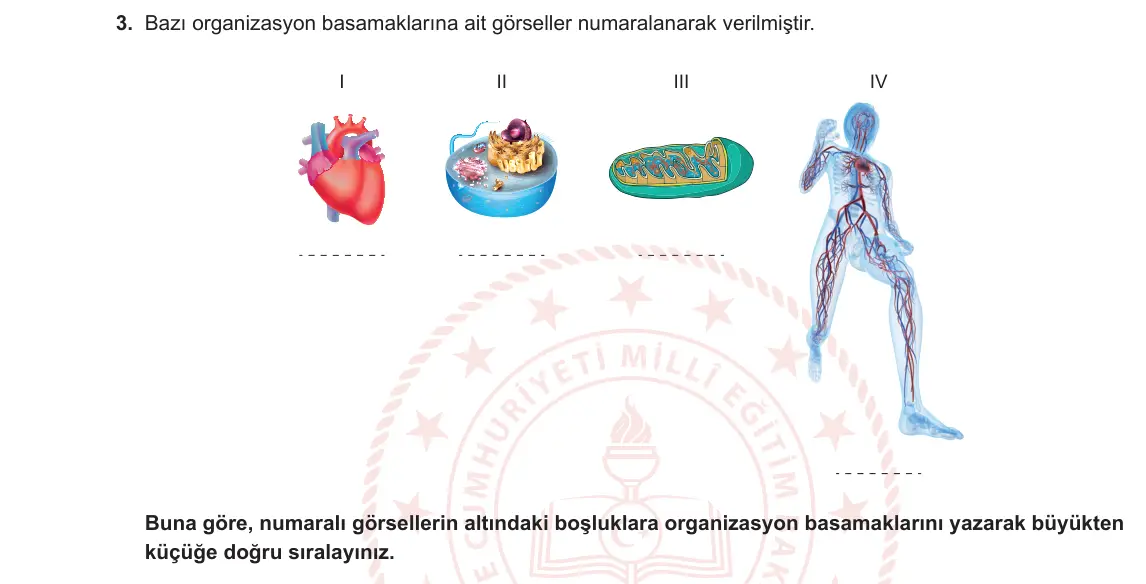 9. Sınıf Biyoloji 2023-2024 1. Dönem 1. Yazılı 1. Bölüm 3. Soru görseli