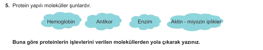 9. Sınıf Biyoloji 2023-2024 1. Dönem 1. Yazılı 1. Bölüm 5. Soru görseli