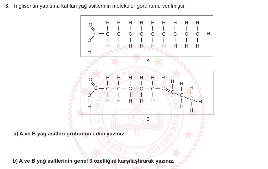 9. Sınıf Biyoloji 2023-2024 1. Dönem 1. Yazılı 2. Bölüm 3. Soru görseli