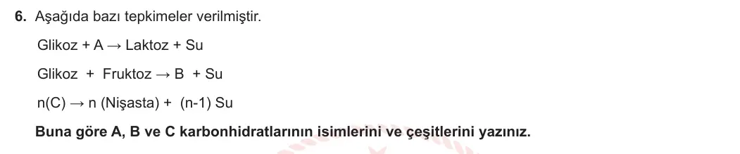 9. Sınıf Biyoloji 2023-2024 1. Dönem 1. Yazılı 2. Bölüm 6. Soru görseli