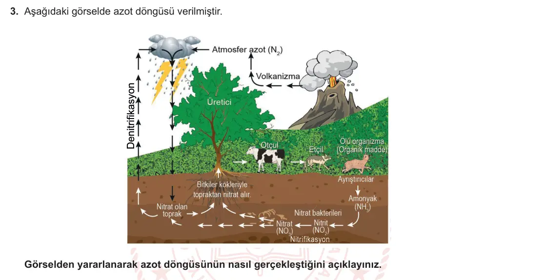 11. Sınıf Coğrafya 2023-2024 1. Dönem 1. Yazılı 1. Bölüm 3. Soru görseli