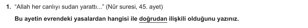 8. Sınıf Din Kültürü ve Ahlak Bilgisi 2023-2024 1. Dönem 1. Yazılı 2. Bölüm 1. Soru görseli