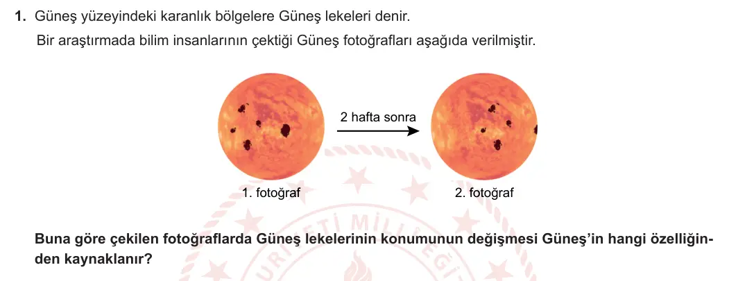 5. Sınıf Fen Bilimleri 2023-2024 1. Dönem 1. Yazılı 1. Bölüm 1. Soru görseli