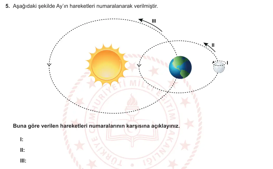 5. Sınıf Fen Bilimleri 2023-2024 1. Dönem 1. Yazılı 1. Bölüm 5. Soru görseli