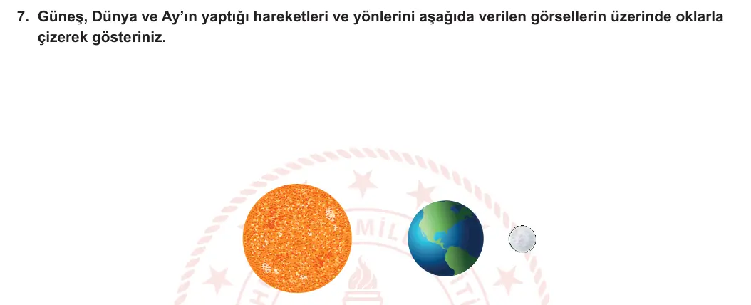 5. Sınıf Fen Bilimleri 2023-2024 1. Dönem 1. Yazılı 1. Bölüm 7. Soru görseli